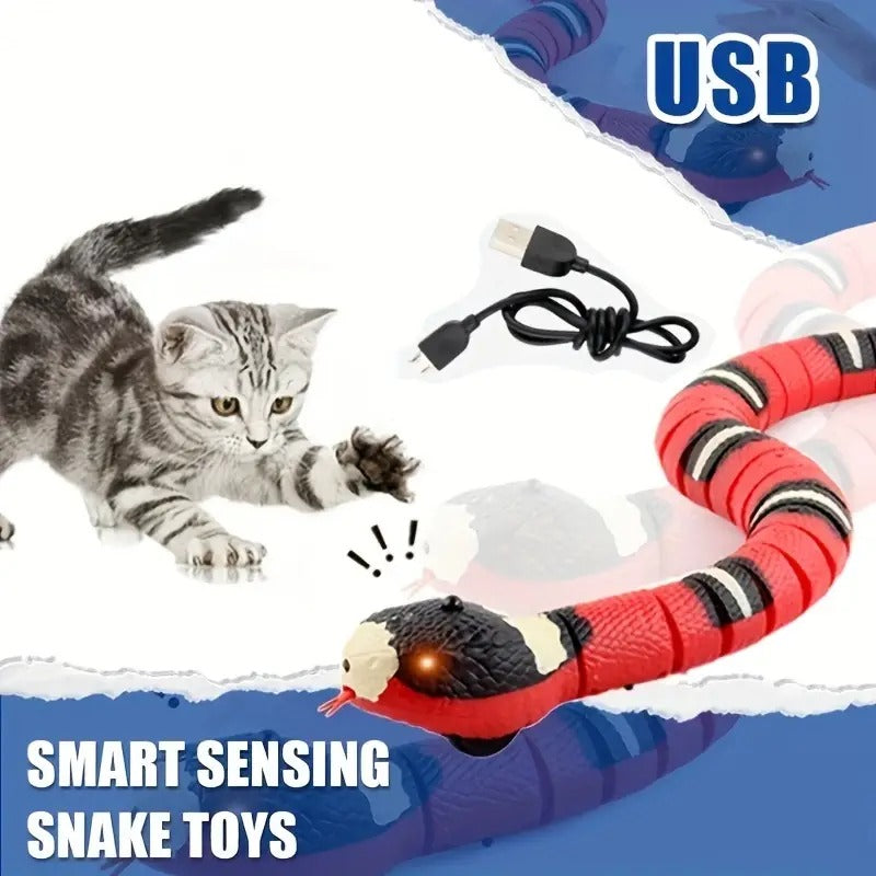 SnakeChase