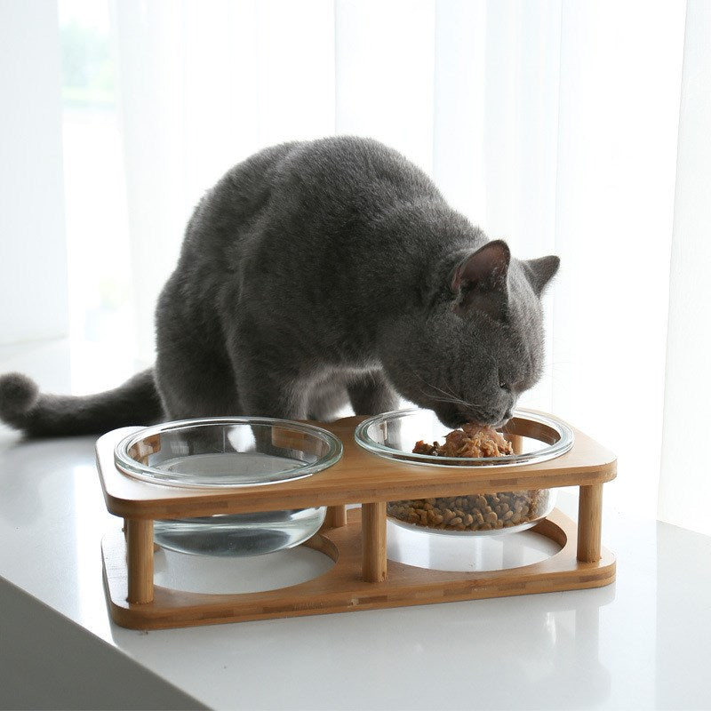 Ergonomic Dual Glass Pet Bowls