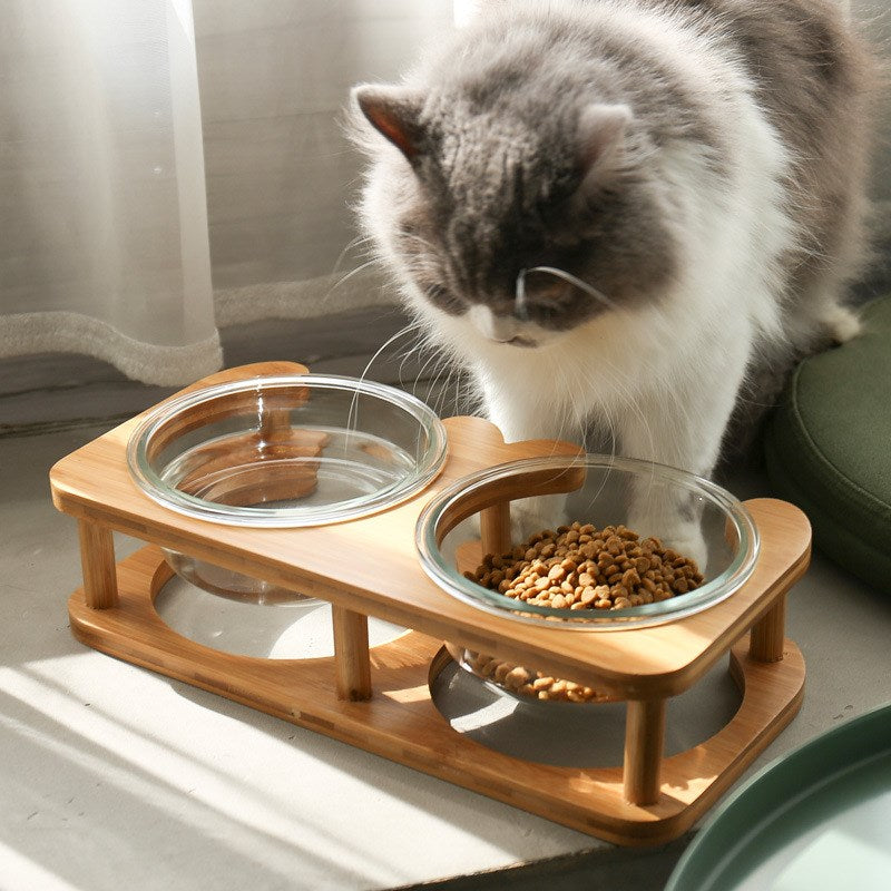 Ergonomic Dual Glass Pet Bowls