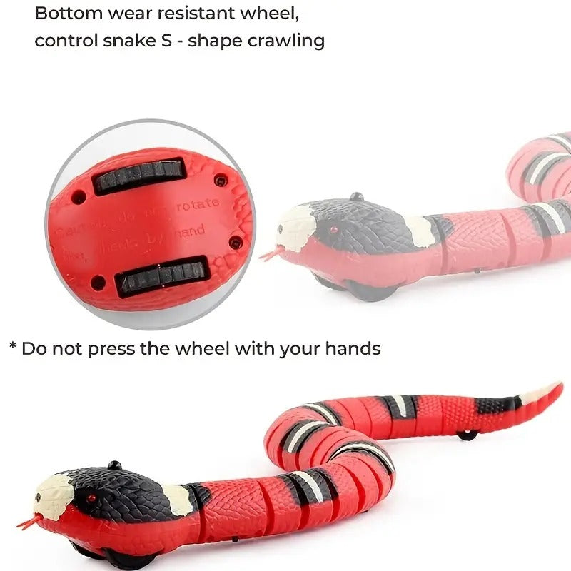 SnakeChase